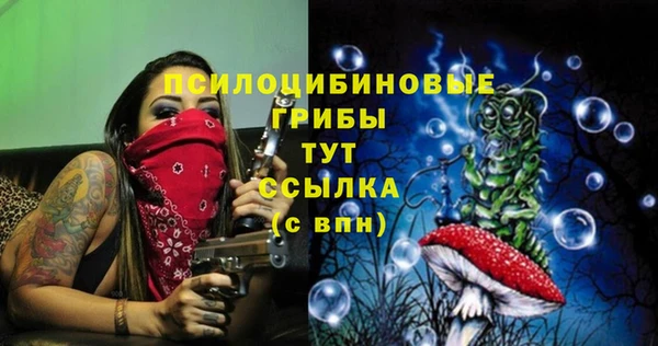 ешки Абинск