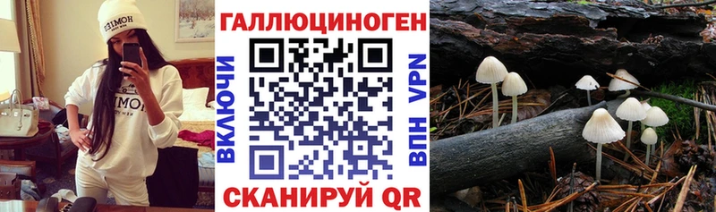 Галлюциногенные грибы мицелий  Саранск 