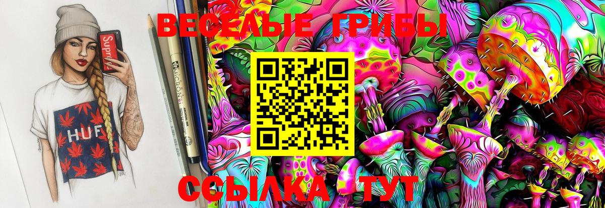 Саранск  Псилоцибиновые грибы Magic Shrooms  Вход с VPN 