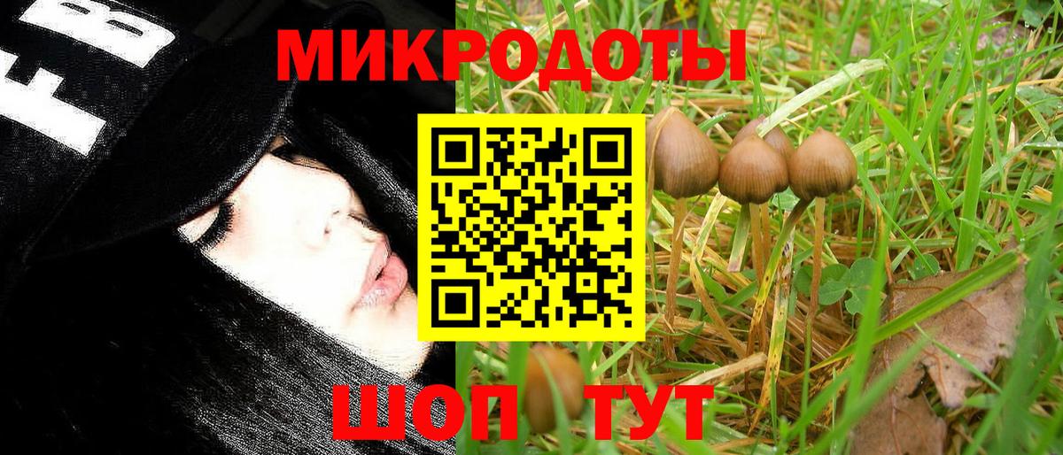 Галлюциногенные грибы прущие грибы Саранск